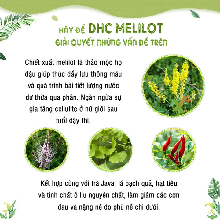 Viên uống DHC Melilot thon gọn đùi 60 viên 30 ngày dùng giảm mỡ đùi, phù nề đùi
