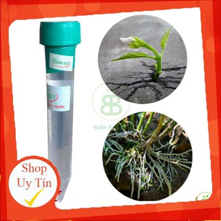 - thuốc kích mầm, kích chồi keiki duy DẠNG PHUN SPRAY chất lượng.