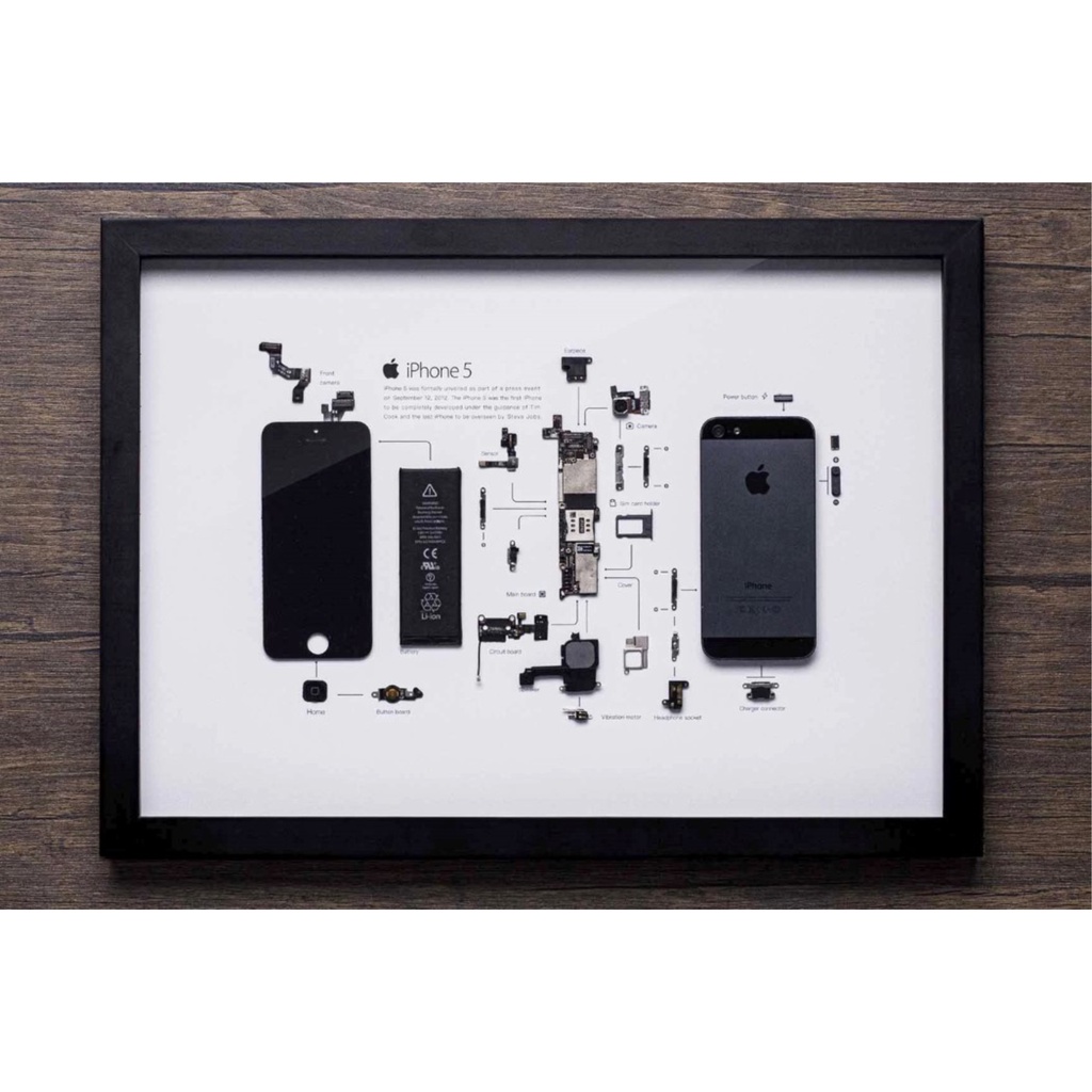 Khung tranh tiêu bản gắn linh kiện iPhone 2G-X