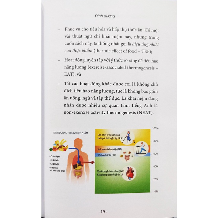 Sách - Chế độ dinh dưỡng cân bằng cho người Việt