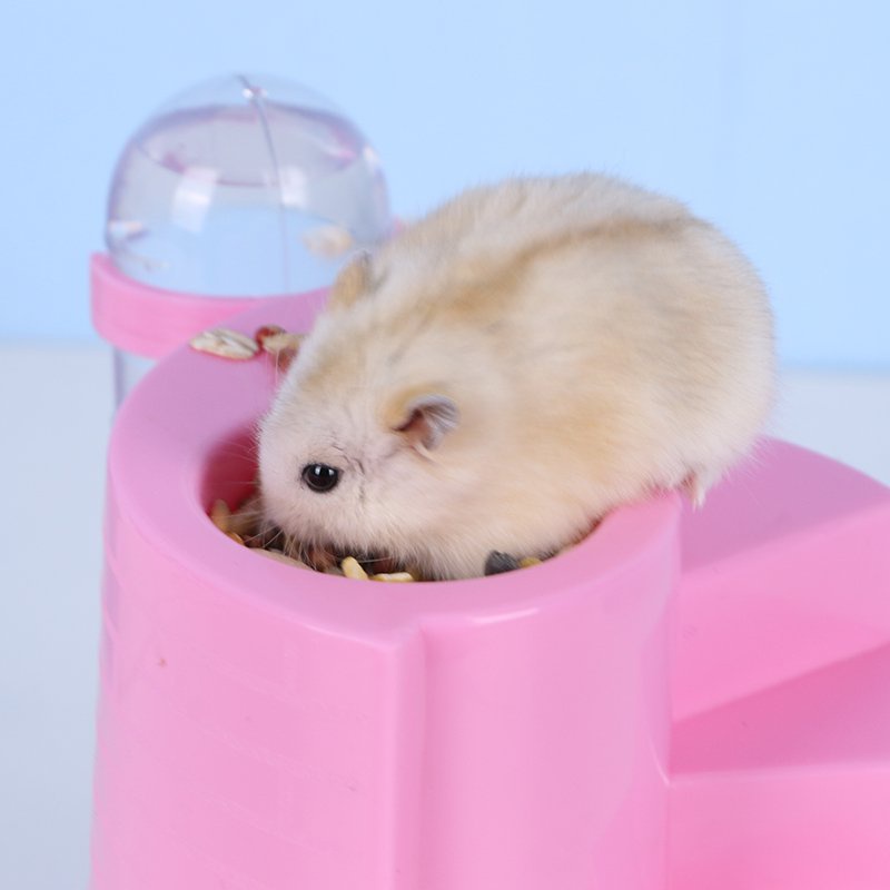 Nhà ngủ 4 in 1 Kèm Bình nước cho Hamster