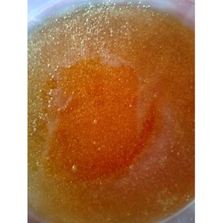 Mật ong rừng 1000ml bao TEST
