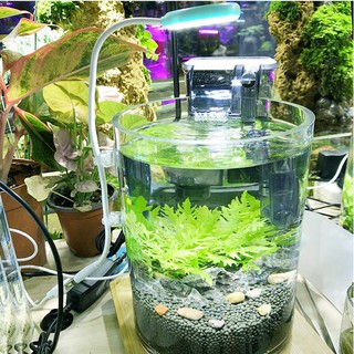 Đèn LED 3W cho bể cá, thủy sinh hình tròn