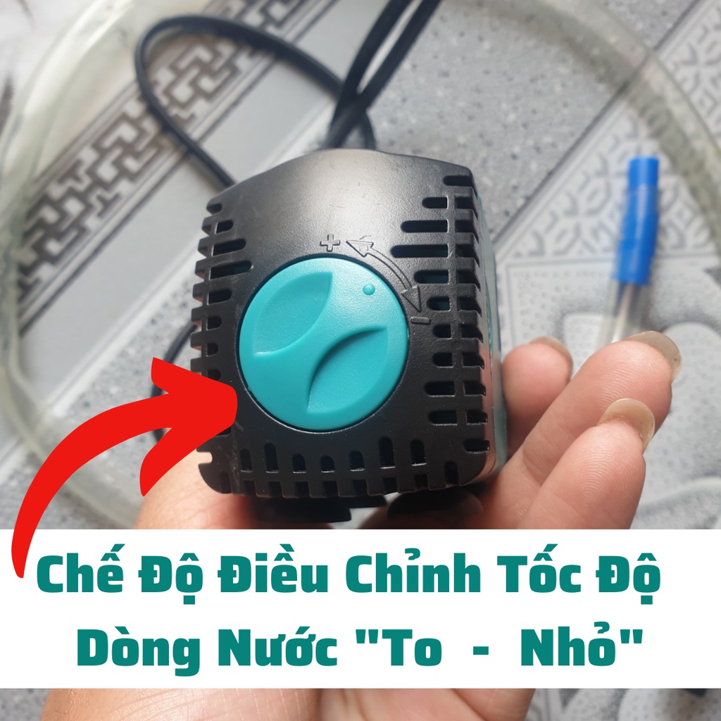 Máy rửa âm đạo heo nái, thụt rửa tử cung cho lợn nái bị viêm tử cung, viêm âm đạo sau sinh đẻ