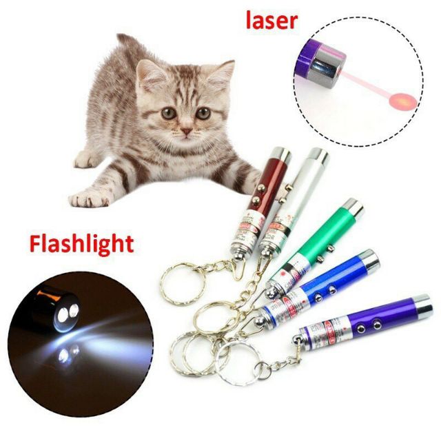 Đèn laze trêu chọc mèo 3 in 1