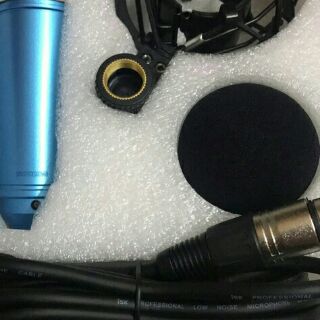 Mic thu âm AT-100( mic hoa vinh).