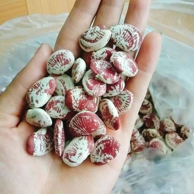 Đậu ngự Huế(5 lạng)