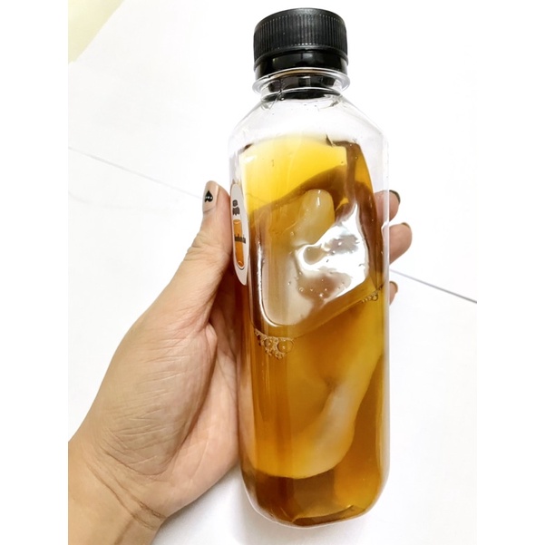 Con giống SCOBY mua 1 được 2 / Nấm men Kombucha kèm nước mồi sạch, khoẻ, thơm Đảm bảo thành công 100%