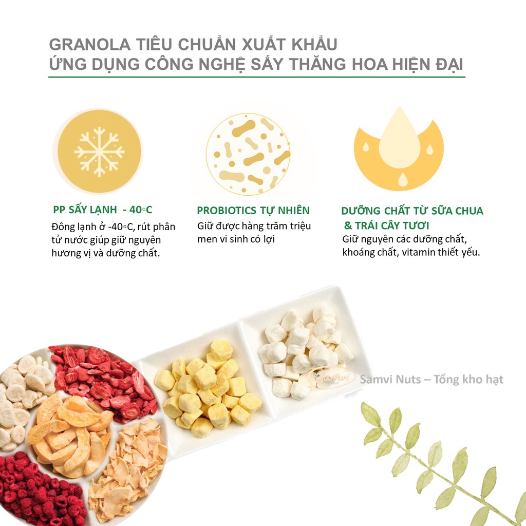 Ngũ cốc sữa chua ăn kiêng giảm cân granola befrescogranola không đường - ảnh sản phẩm 8
