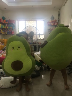Gấu bông bơ tròn miniso