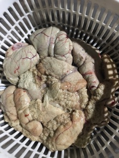 Mồi Trôi siêu cấp!