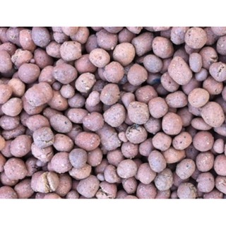 ĐẤT NUNG (SỎI NHẸ) TRỒNG CÂY (xốp)