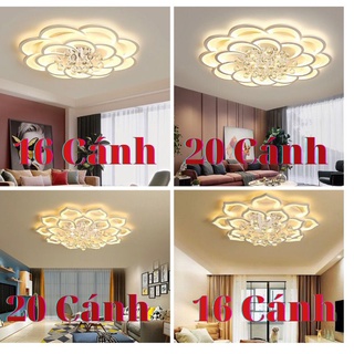 [GIÁ RẺ NHẤT]ĐÈN ỐP TRẦN HOA SEN HOA MAI 16-20 CÁNH