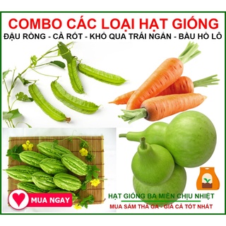 Combo 4 Loại Hạt Giống Khổ Qua Trái Ngắn, Hạt Cà Rốt, Hạt Đậu Rồng, Hạt Bầu Hồ Lô