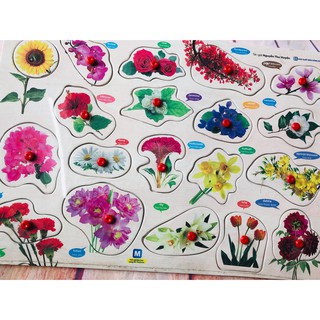 CÙNG CON CHƠI VÀ HỌC – CÁC LOÀI HOA