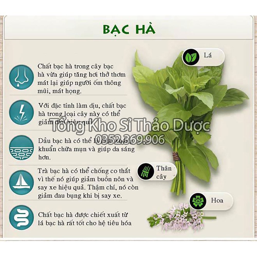 Bột bạc hà sấy lạnh 1kg