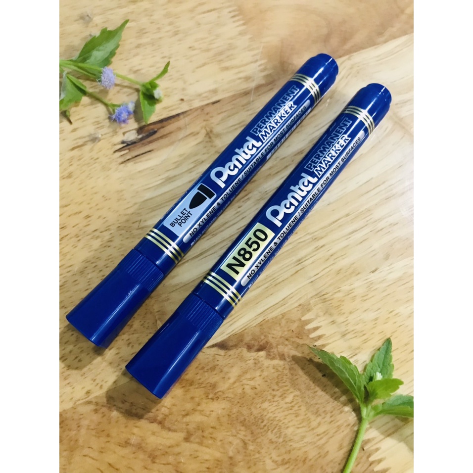 Bút lông dầu 1 đầu tròn Pentel N850