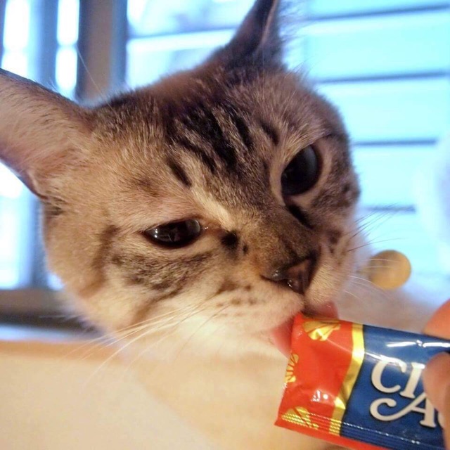 Ciao Chura súp thưởng cho mèo