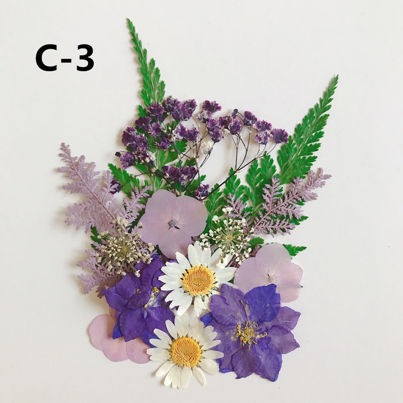 Set Hoa Ép Khô Hỗn Hợp Theo Tông Màu Làm Trang Trí Nến Thơm, Handmade