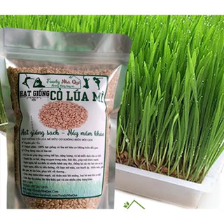 1kg Cỏ Lúa Mì (1kg)