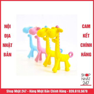 Gặm nướu hươu Edison Nội Địa Nhật Bản