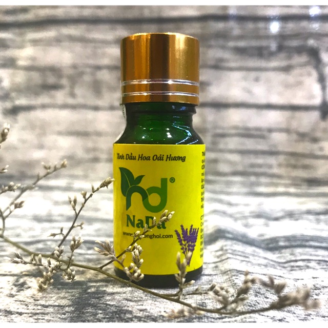 TiNh dầu oải hương ( LAVENDER) NADA