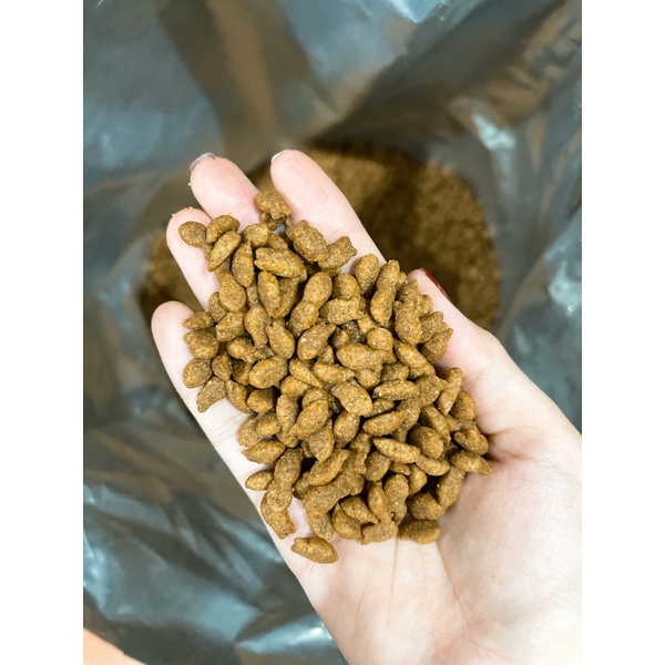 Combo 1kg/5kg Thức Ăn Cho Mèo Cateye