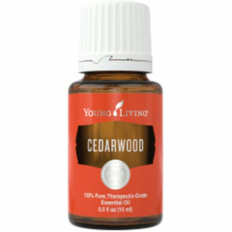 Tinh Dầu Cedar Wood Yl