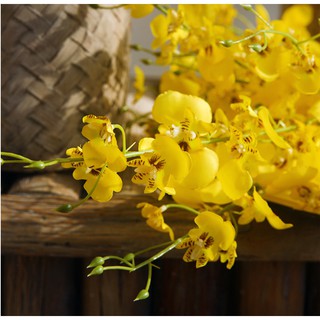 Cành lan Vũ nữ lụa cao cấp-cành cao 88cm