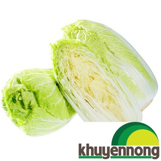 300 hạt giống rau cải thảo