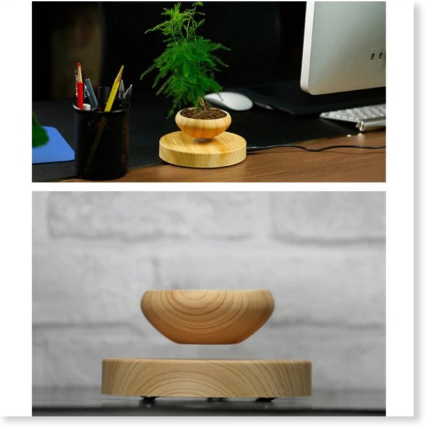 🆕 Chậu cây bay bonsai, chậu cây bay trang trí bàn làm việc