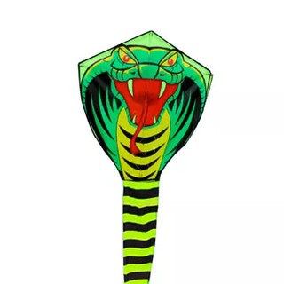 Diều Rắn Bay Rách Bằng Vải Nylon Đồ Chơi Ngoài Trời Rắn Bay Dễ Dàng Mở Diều Cho Trẻ Em Quà Tặng Cho Trẻ E - Phong cách 2