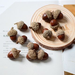 SET 10 QUẢ SỒI KHÔ TRANG TRÍ