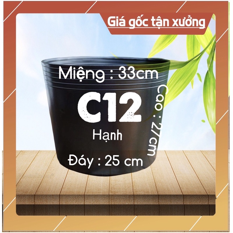 [ Sỉ từ 20 cái ] chậu nhựa C12