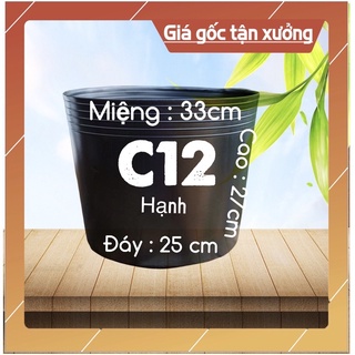 Chậu nhựa c12