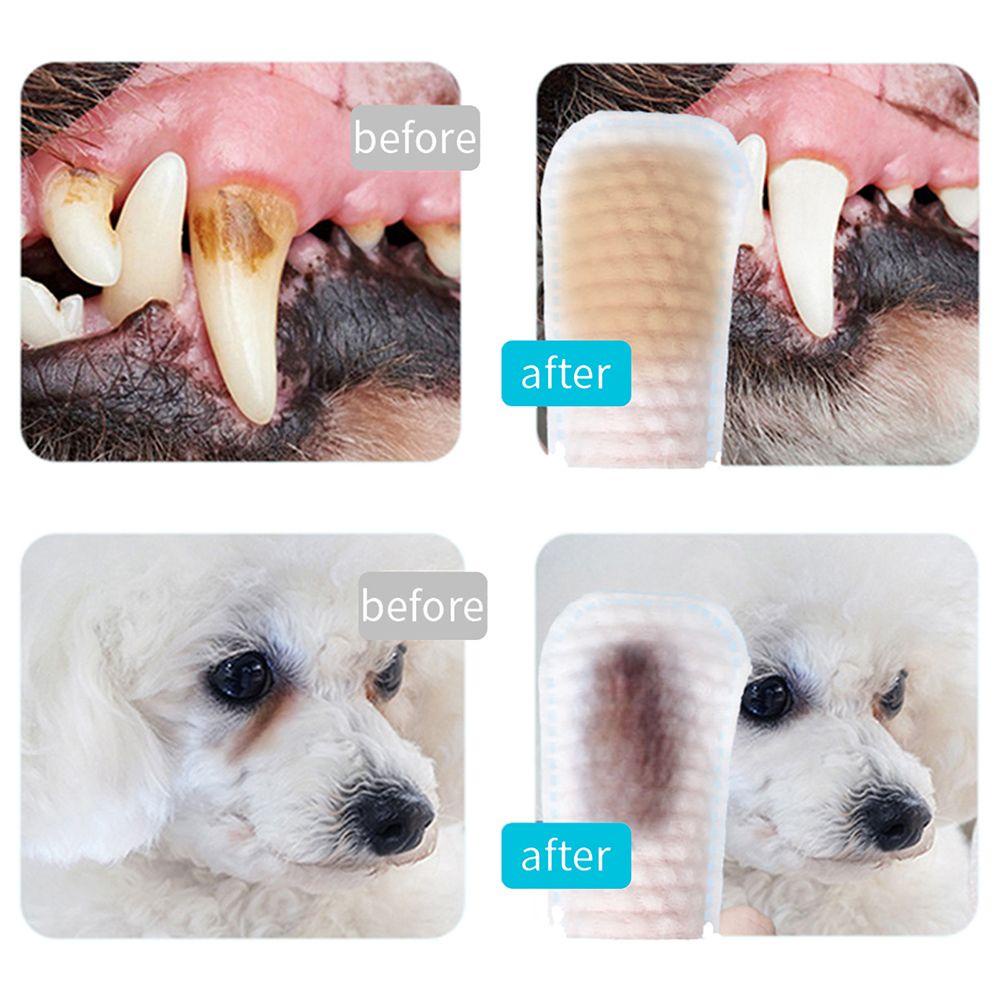 Hộp 50 Miếng Vải Không Dệt Đeo Ngón Tay Vệ Sinh Răng Cho Thú Cưng