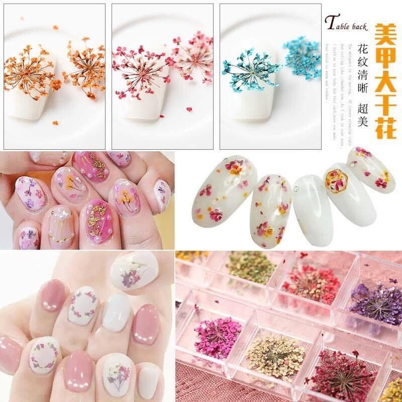 Hoa Khô Ẩn, Sét Hoa Ẩn Nail [Thanh Vy Nail]