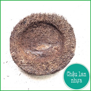 Rớn bảng tròn trồng lan 23cm