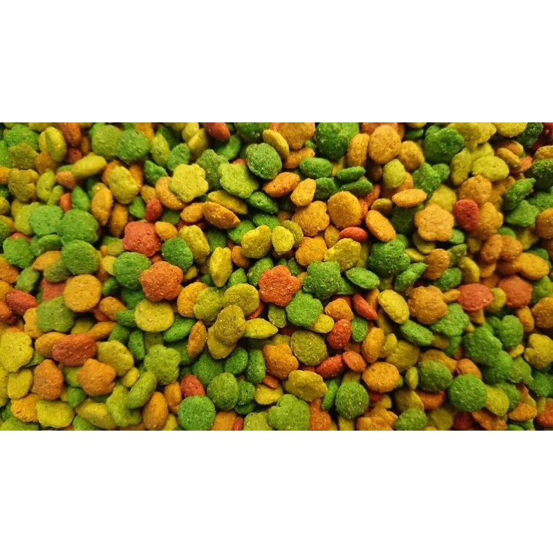 Hạt trái cây G14 dành cho vẹt gói lẻ 100g