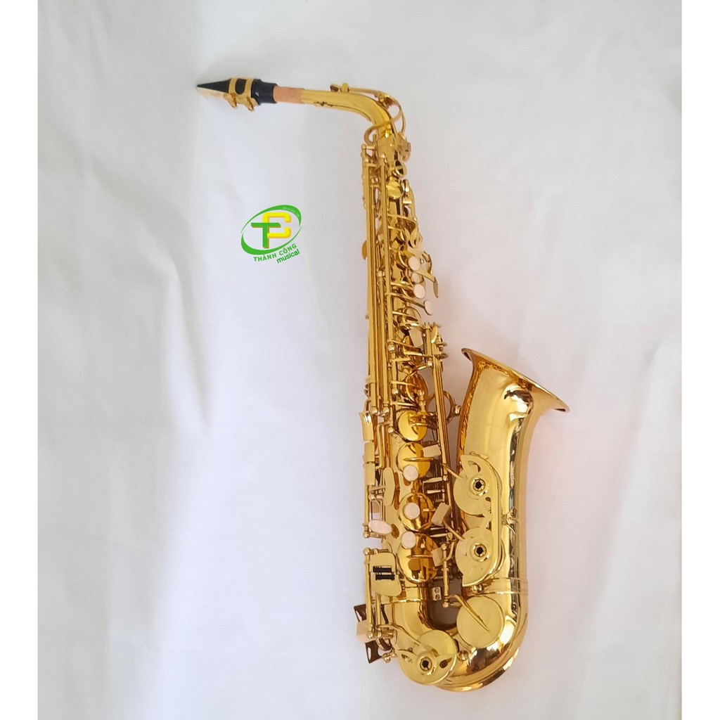 Kèn saxophone alto Yanagisawa giá rẻ (có đầy đủ phụ kiện) | Nhạc Cụ Thành Công