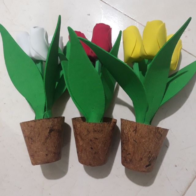 Chậu hoa tulip mini
