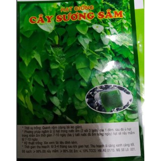 HẠT GIỐNG CÂY SƯƠNG SÂM - GÓI 10 HẠT439