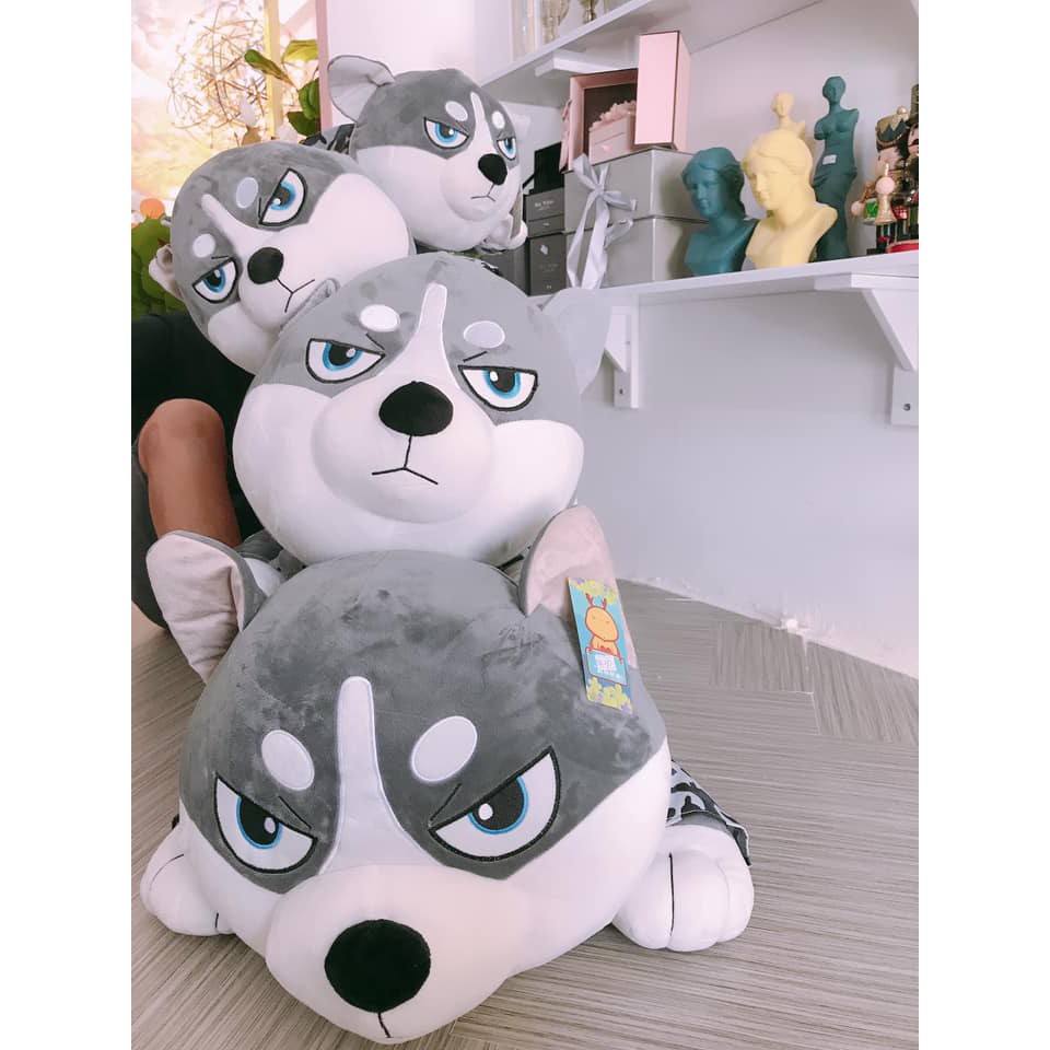 Tổng hợp Gấu Bông Chó Husky giá rẻ, bán chạy tháng 11/2021 - BeeCost