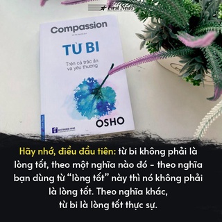 Sách - OSHO - Từ Bi (Firstnews Trí Việt)