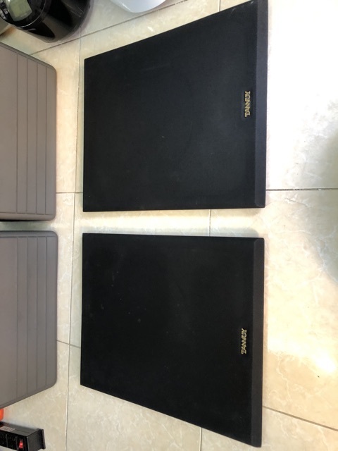 Loa TANNOY SYSTEM 12