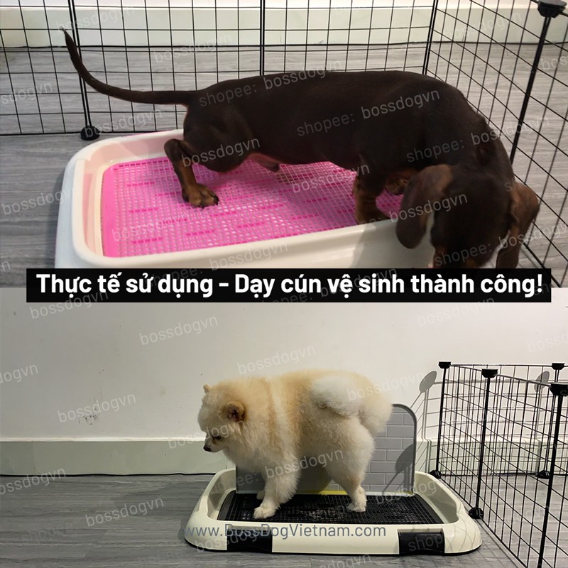 (SHlP 2H) Tã lót vệ sinh chó PIPI kích thích cún tè lần sau | BossDog