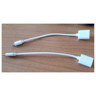 Cáp OTG Type C (USB 2.0) bảo hành 3 tháng