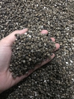 Hạt chuối rừng 1kg