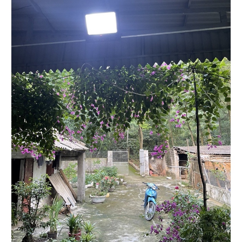 Đèn pha năng lượng mặt trời sân vườn công suất 300W, Đèn chiếu sáng khuôn viên ngoài trời Bảo Hành 2 năm
