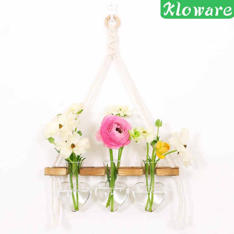 Wall Hanging Planter for Hydroponic Plants Modern Bulb Glass Vase for Home
